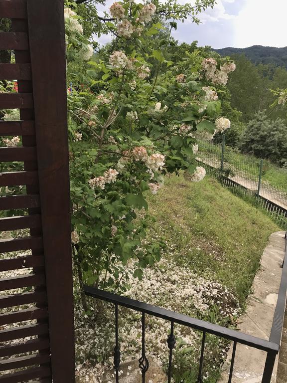 Cabana Breaza - Skyview Cottage Экстерьер фото